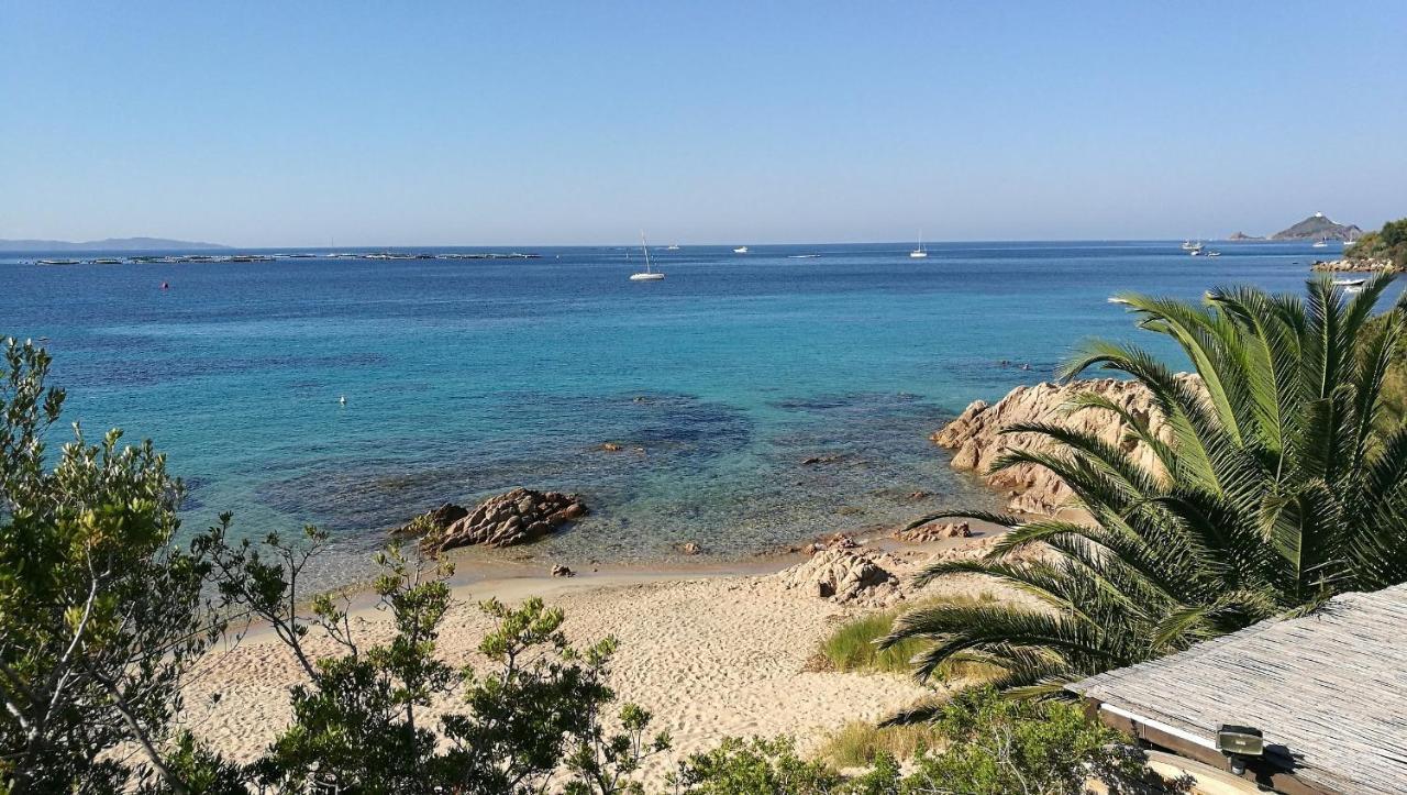 Vaiana Avec Piscine En Bord De * Ajaccio (Corsica)